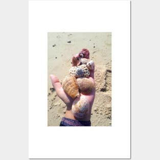 Seashells on a hand at the beach Posters and Art